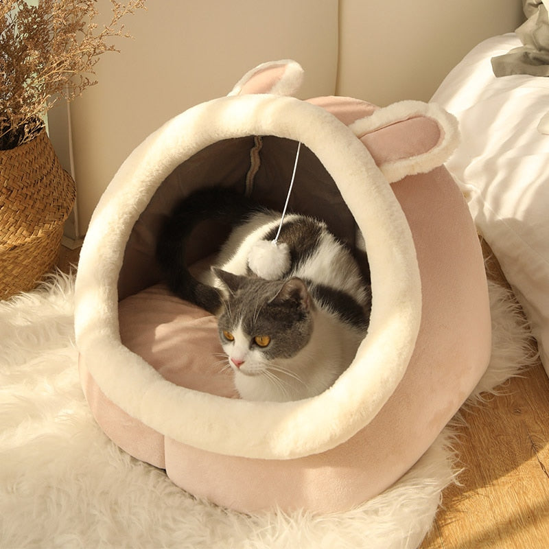 Purr-Fect Cat Bed