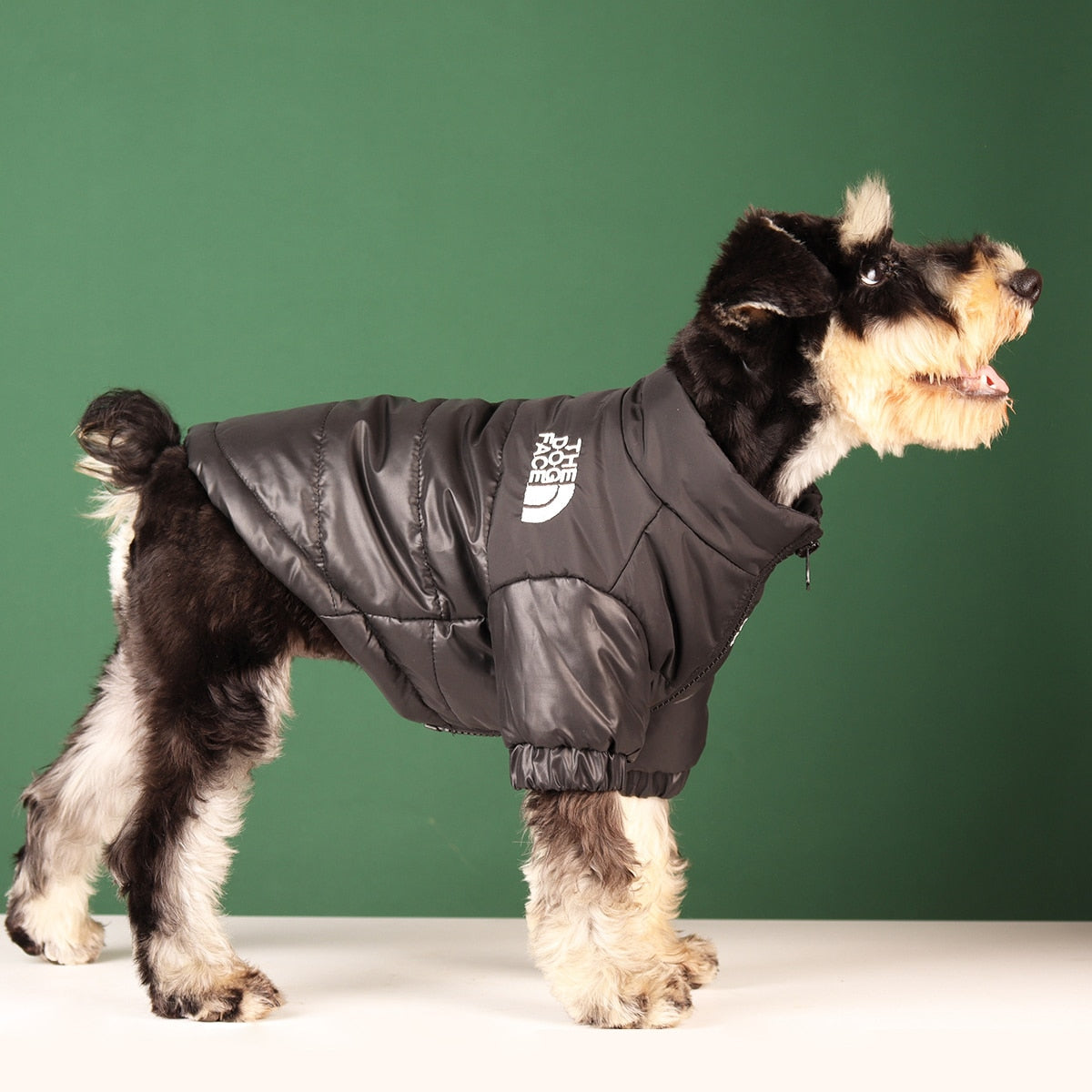 Warm Windproof Winter Dog Clothes